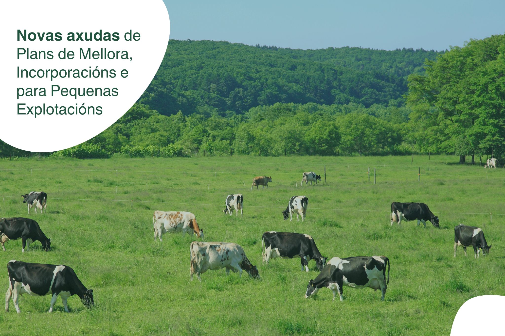 Modificaciones de la solicitud de las ayudas de planes de mejora e incorporación