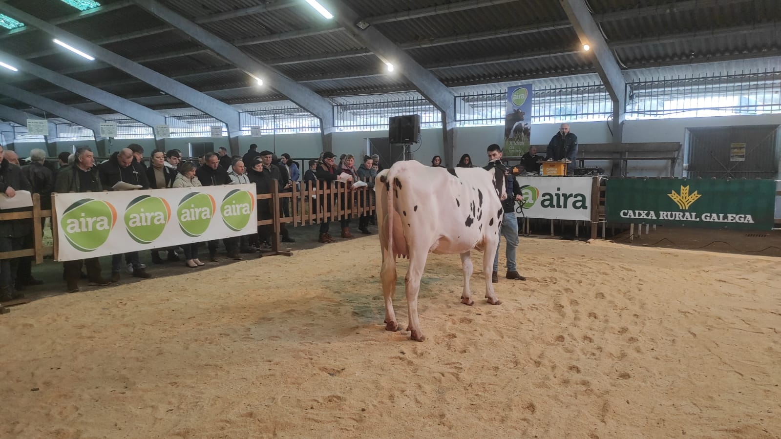 La subasta alcanza un volumen de ventas de 41.800 euros