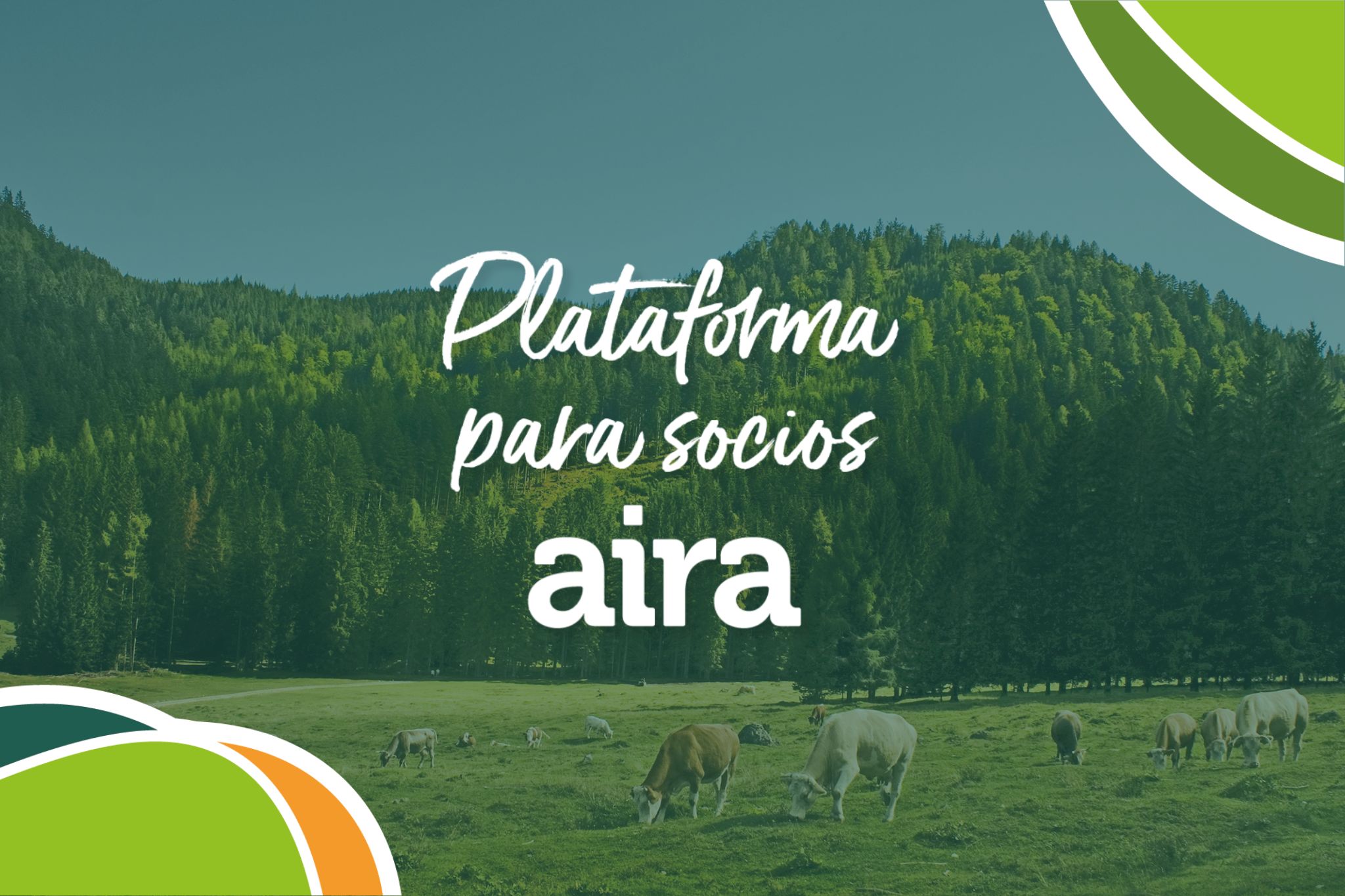 Plataforma socios de AIRA