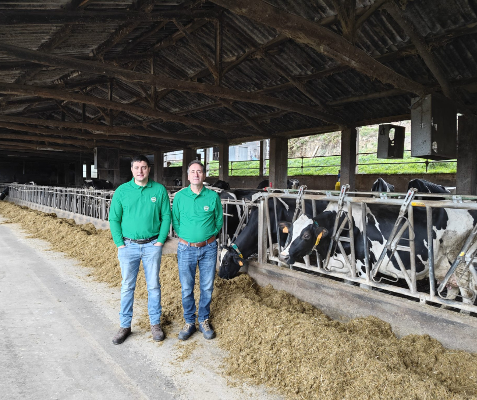 Xan House - Chantada